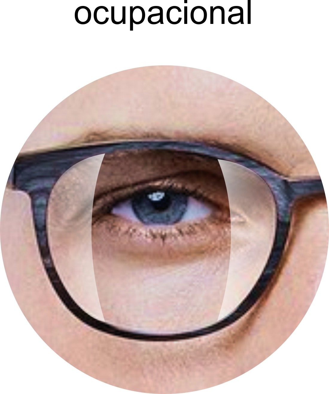 OCUPACION